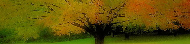 Unity Church of Christ