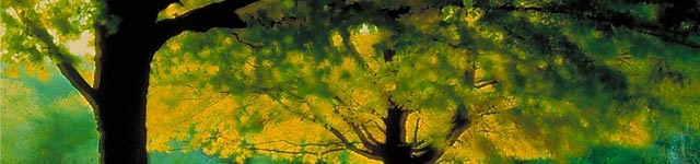 Unity Church of Christ