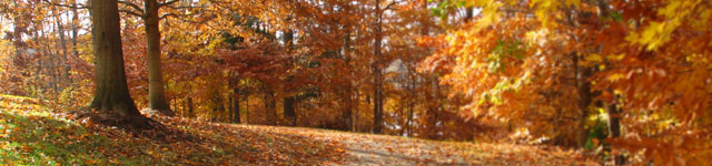 Unity Church of Christ